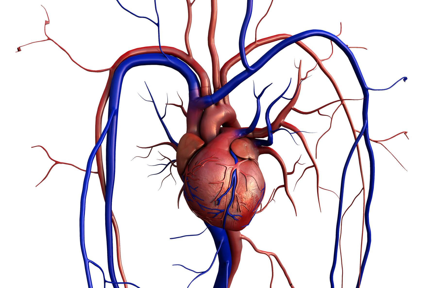 is-tavr-a-major-surgery-kimberely-sumner